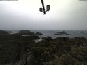 ./images/calvert/lookout/20210429/lookout20210429_071002.jpg