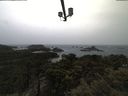 ./images/calvert/lookout/20210429/lookout20210429_074001.jpg