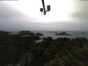 ./images/calvert/lookout/20210429/lookout20210429_084002.jpg