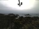 ./images/calvert/lookout/20210429/lookout20210429_085002.jpg