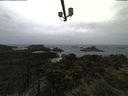 ./images/calvert/lookout/20210429/lookout20210429_085502.jpg