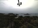 ./images/calvert/lookout/20210429/lookout20210429_094002.jpg