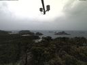 ./images/calvert/lookout/20210429/lookout20210429_100001.jpg