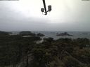 ./images/calvert/lookout/20210429/lookout20210429_103501.jpg