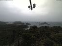 ./images/calvert/lookout/20210429/lookout20210429_105002.jpg