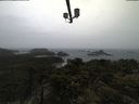 ./images/calvert/lookout/20210429/lookout20210429_110502.jpg