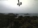 ./images/calvert/lookout/20210429/lookout20210429_111002.jpg