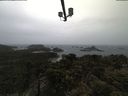 ./images/calvert/lookout/20210429/lookout20210429_111502.jpg