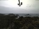 ./images/calvert/lookout/20210429/lookout20210429_113502.jpg