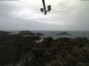 ./images/calvert/lookout/20210429/lookout20210429_114002.jpg