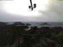 ./images/calvert/lookout/20210429/lookout20210429_114502.jpg