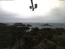 ./images/calvert/lookout/20210429/lookout20210429_115002.jpg
