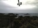 ./images/calvert/lookout/20210429/lookout20210429_115501.jpg