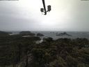 ./images/calvert/lookout/20210429/lookout20210429_121001.jpg