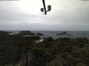 ./images/calvert/lookout/20210429/lookout20210429_123501.jpg