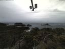 ./images/calvert/lookout/20210429/lookout20210429_134502.jpg