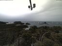 ./images/calvert/lookout/20210429/lookout20210429_135502.jpg