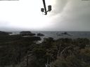 ./images/calvert/lookout/20210429/lookout20210429_141002.jpg
