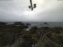 ./images/calvert/lookout/20210429/lookout20210429_142001.jpg