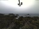 ./images/calvert/lookout/20210429/lookout20210429_144001.jpg