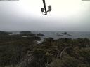 ./images/calvert/lookout/20210429/lookout20210429_144501.jpg