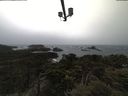 ./images/calvert/lookout/20210429/lookout20210429_145501.jpg
