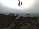 ./images/calvert/lookout/20210429/lookout20210429_150501.jpg