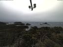 ./images/calvert/lookout/20210429/lookout20210429_151001.jpg