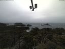 ./images/calvert/lookout/20210429/lookout20210429_152001.jpg