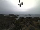 ./images/calvert/lookout/20210429/lookout20210429_152501.jpg