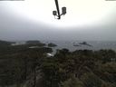 ./images/calvert/lookout/20210429/lookout20210429_161501.jpg