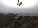 ./images/calvert/lookout/20210429/lookout20210429_162001.jpg