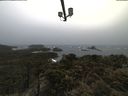 ./images/calvert/lookout/20210429/lookout20210429_162501.jpg