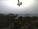 ./images/calvert/lookout/20210429/lookout20210429_163502.jpg