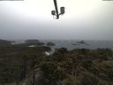 ./images/calvert/lookout/20210429/lookout20210429_164002.jpg