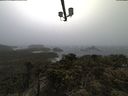 ./images/calvert/lookout/20210429/lookout20210429_183502.jpg