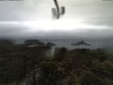 ./images/calvert/lookout/20210430/lookout20210430_074502.jpg