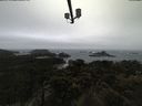 ./images/calvert/lookout/20210430/lookout20210430_105501.jpg