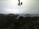 ./images/calvert/lookout/20210430/lookout20210430_110501.jpg