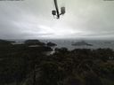 ./images/calvert/lookout/20210430/lookout20210430_112502.jpg