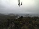 ./images/calvert/lookout/20210430/lookout20210430_113502.jpg