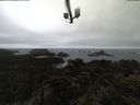 ./images/calvert/lookout/20210430/lookout20210430_115502.jpg