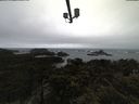 ./images/calvert/lookout/20210430/lookout20210430_120501.jpg