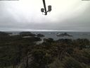 ./images/calvert/lookout/20210430/lookout20210430_121501.jpg