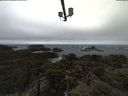 ./images/calvert/lookout/20210430/lookout20210430_131002.jpg