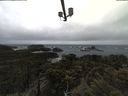 ./images/calvert/lookout/20210430/lookout20210430_132002.jpg
