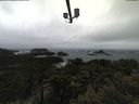 ./images/calvert/lookout/20210430/lookout20210430_141001.jpg