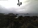 ./images/calvert/lookout/20210430/lookout20210430_151502.jpg