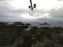./images/calvert/lookout/20210501/lookout20210501_082001.jpg
