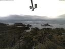 ./images/calvert/lookout/20210501/lookout20210501_095501.jpg